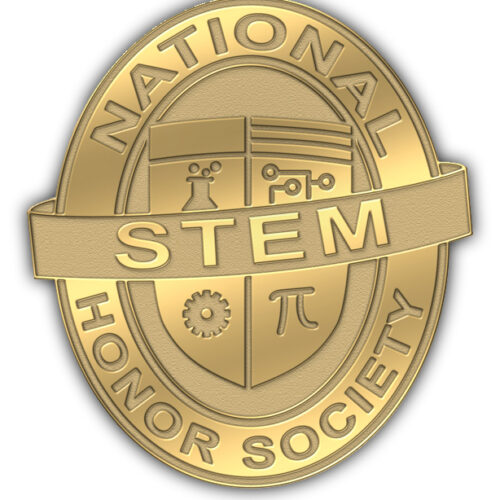 NSTEM pin