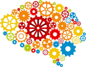 Brain with gears