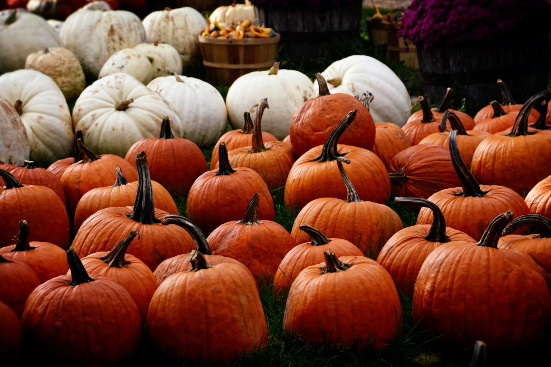 3 Halloween STEM Activities For The Classroom!