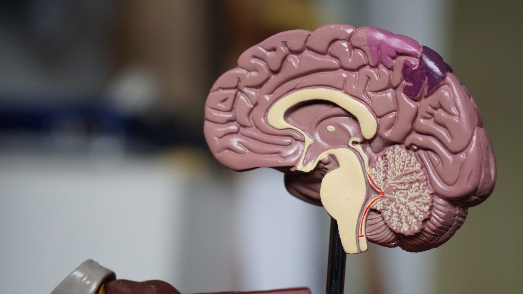 Debunking the Most Popular ADHD Misconception
