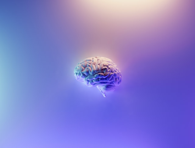 Brain Boost