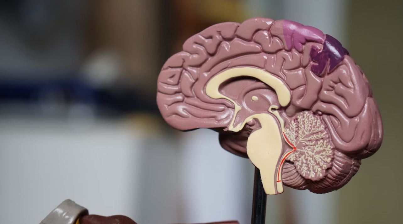 Brain Awareness Week