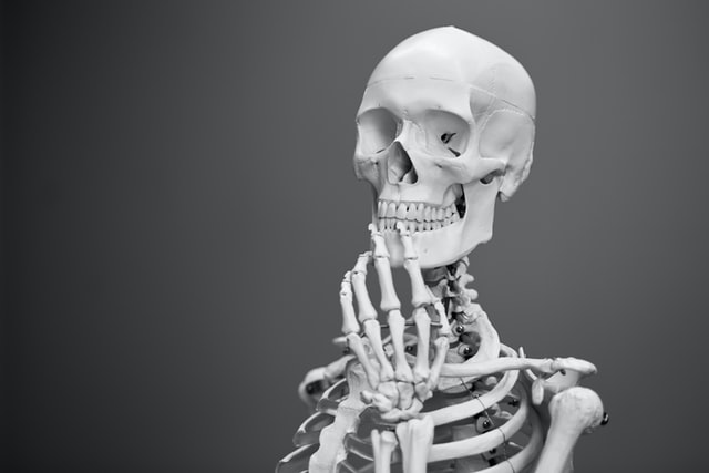 Facts About Bone Health