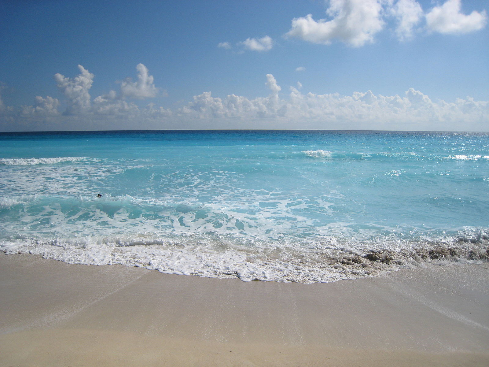 World Ocean Day