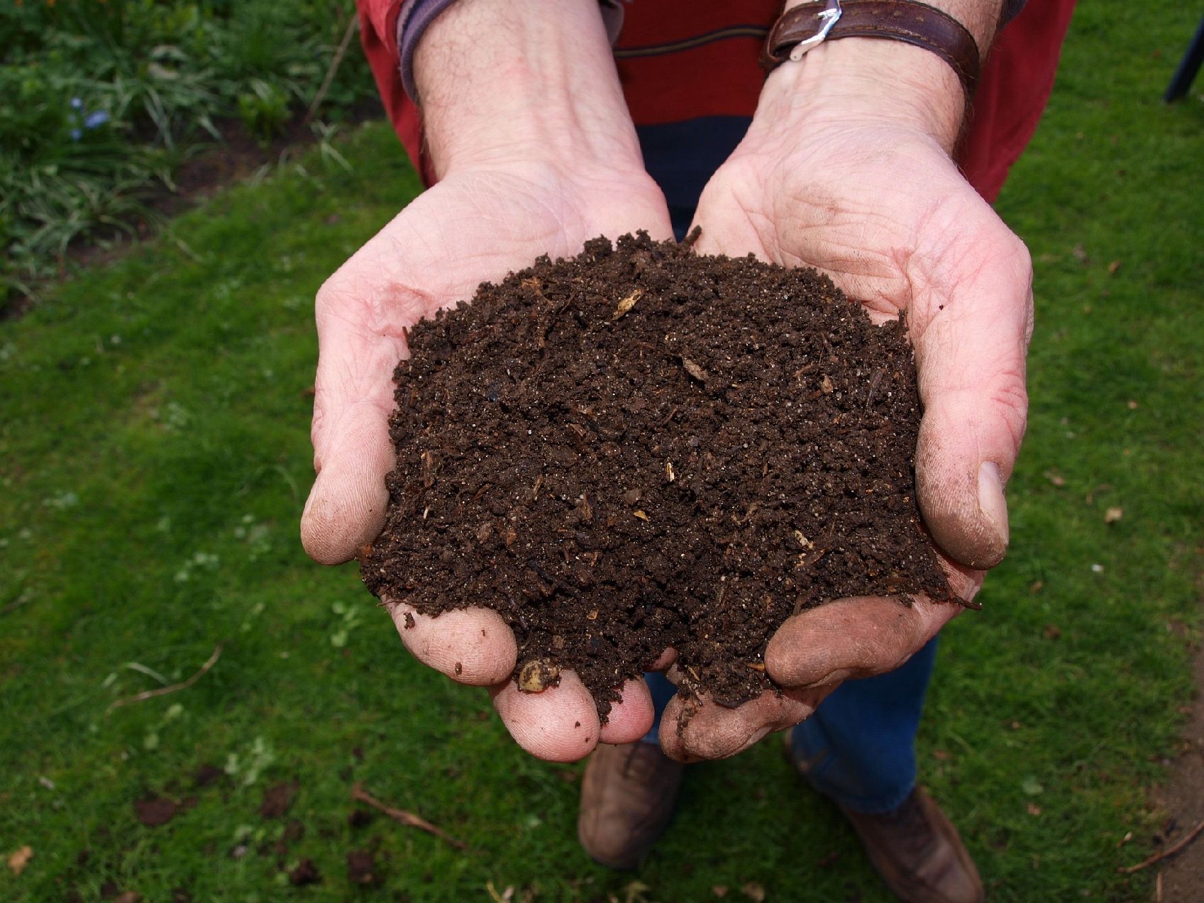 3 Easy Composting Projects for K-2 Students
