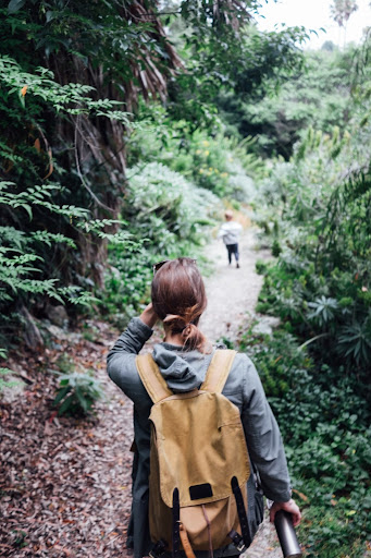 person walking in the woods