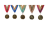5 graduation two tone medals in nstem colors