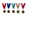 5 medals for induction, red,navy blue, cyan,gold, and dark red