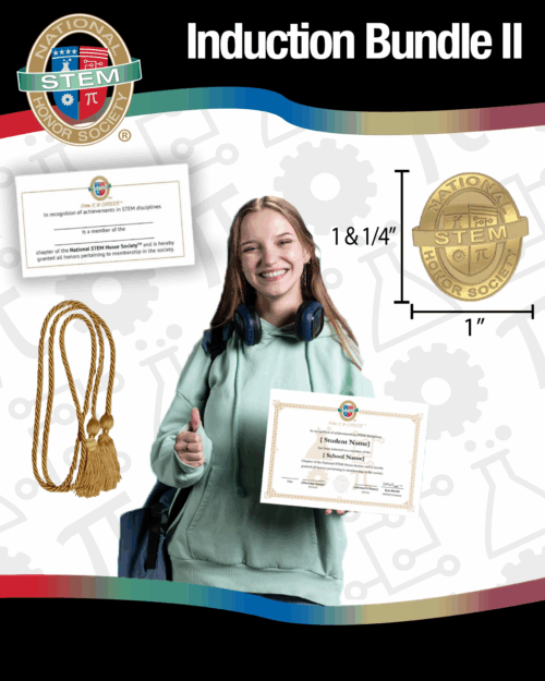 Induction Bundle II
