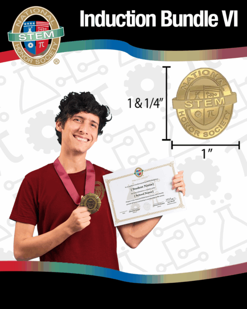 Induction Bundle VI