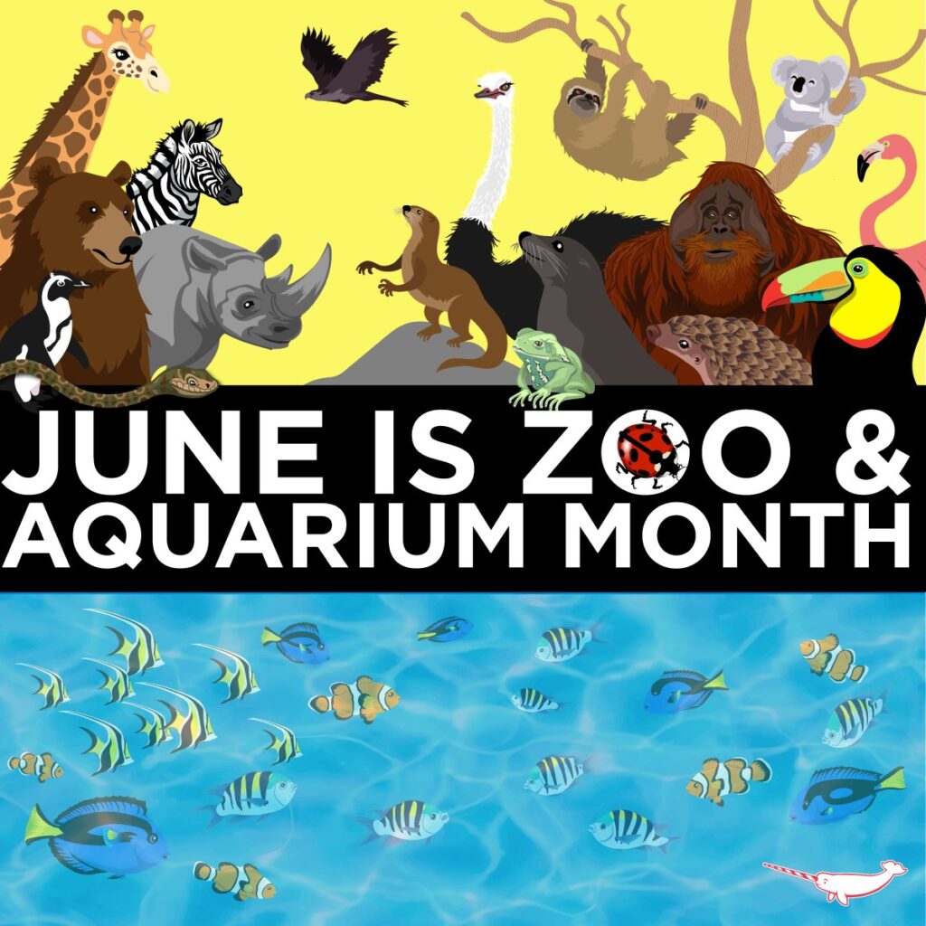 National Zoo and Aquarium Month