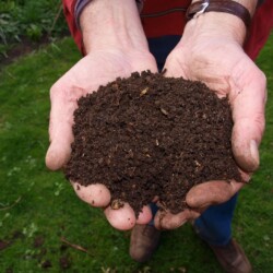Two hands holding soil, which are the effects of composting. There is green grass in the background