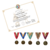 customizable certificate and neck medals in nstem colors