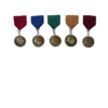 5 excellence in stem medals in nstem colors