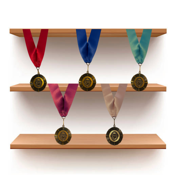 5 neck induction medals in nstem colors on a shelf