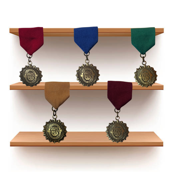 5 drape medals in nstem colors on a shelf